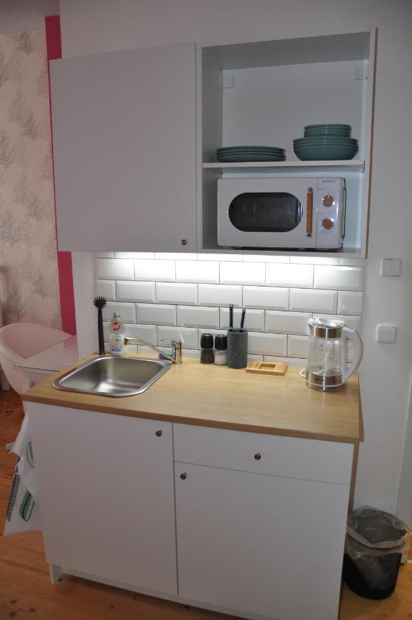 Apartman U Vaclava V Centru Mesta Litomysl Bagian luar foto